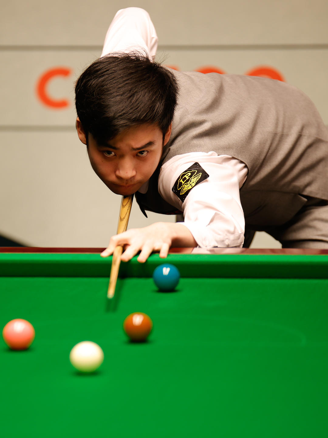 律与勤奋的 律与勤奋的