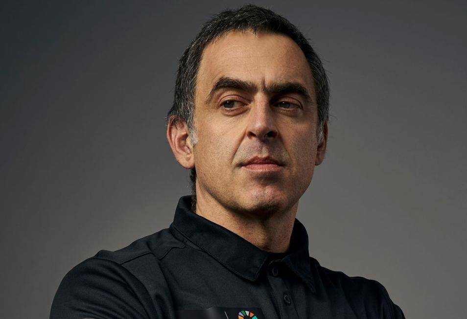 了众多关注 了众多关注