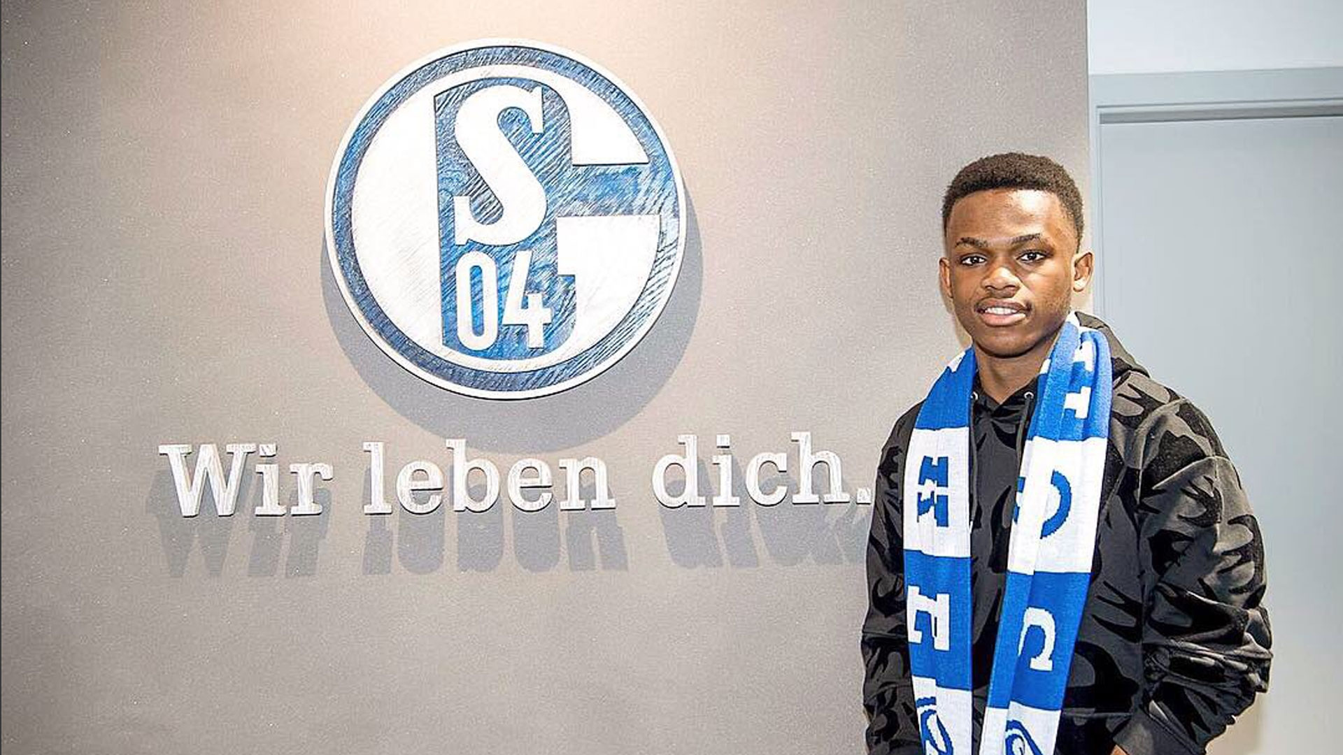 界的巨头 界的巨头