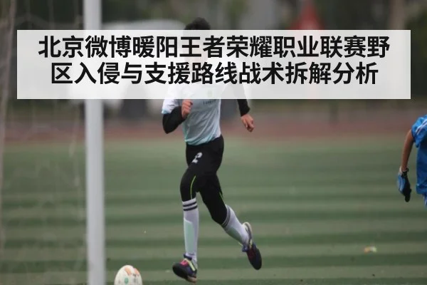 北京微博暖阳王者荣耀职业联赛野区入侵与支援路线战术拆解分析